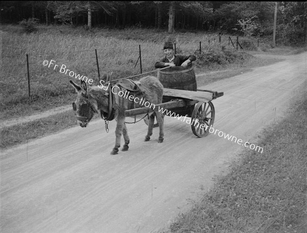 FARMER DONKEY AND WATER CART